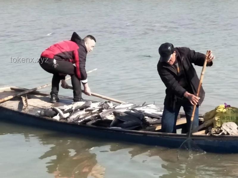 **追巨型鲶鱼遇险与救援放弃的对比分析：探险精神与风险防控的平衡**