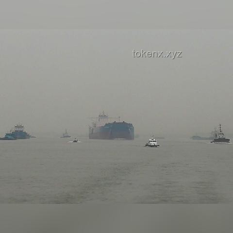 载车轮船太平洋起火事件洞察：电动汽车海运安全风险加剧